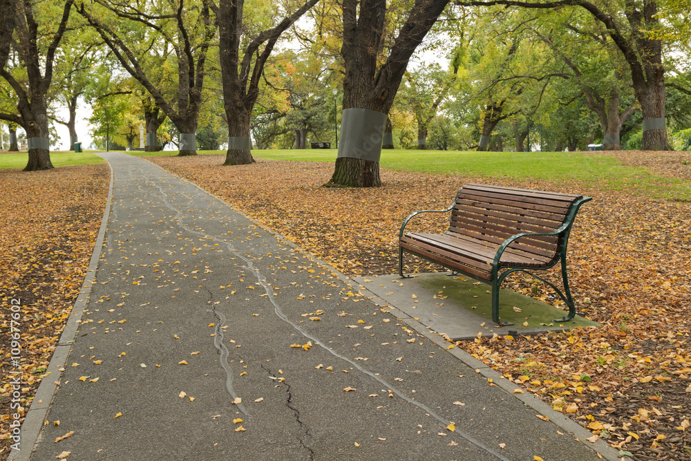 A wooden bench along the path with fallen leaves at Flagstaff Gardens, the oldest park in Melbourne, Victoria, Australia during Autumn season