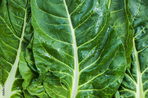Quadro em tela Swiss chard