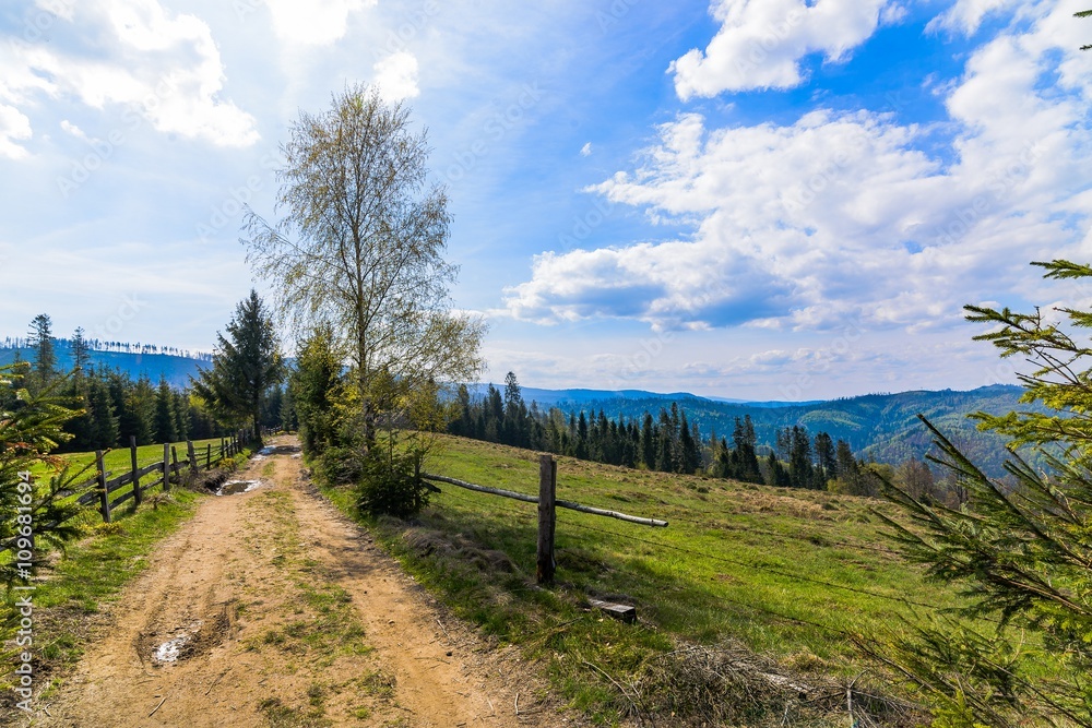 Dirt road in Silesian Beskid mountains