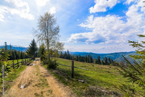 Dirt road in Silesian Beskid mountains