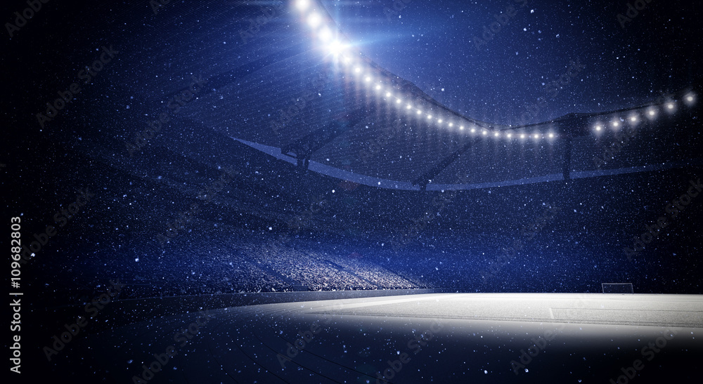 Naklejka premium Stadium, snowfall