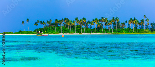 Fototapeta Naklejka Na Ścianę i Meble -  panorama of tropical island, Maldives