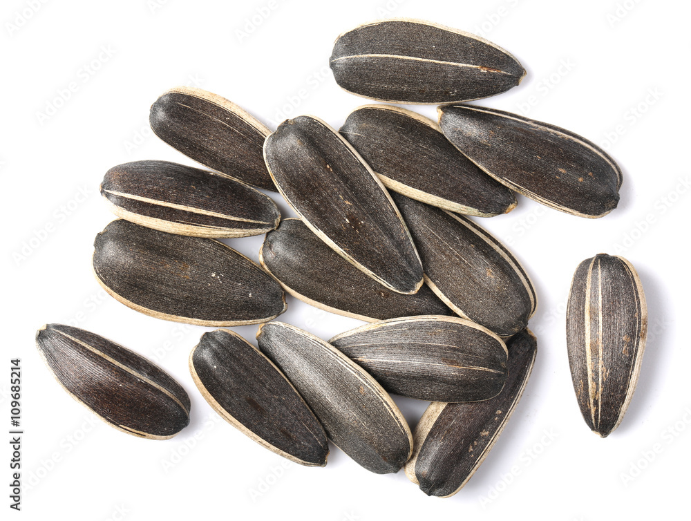 Sunflower Seeds Sunflower Seeds