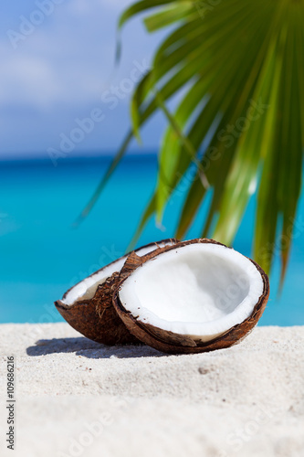 Broken brown coconut on sandy beach