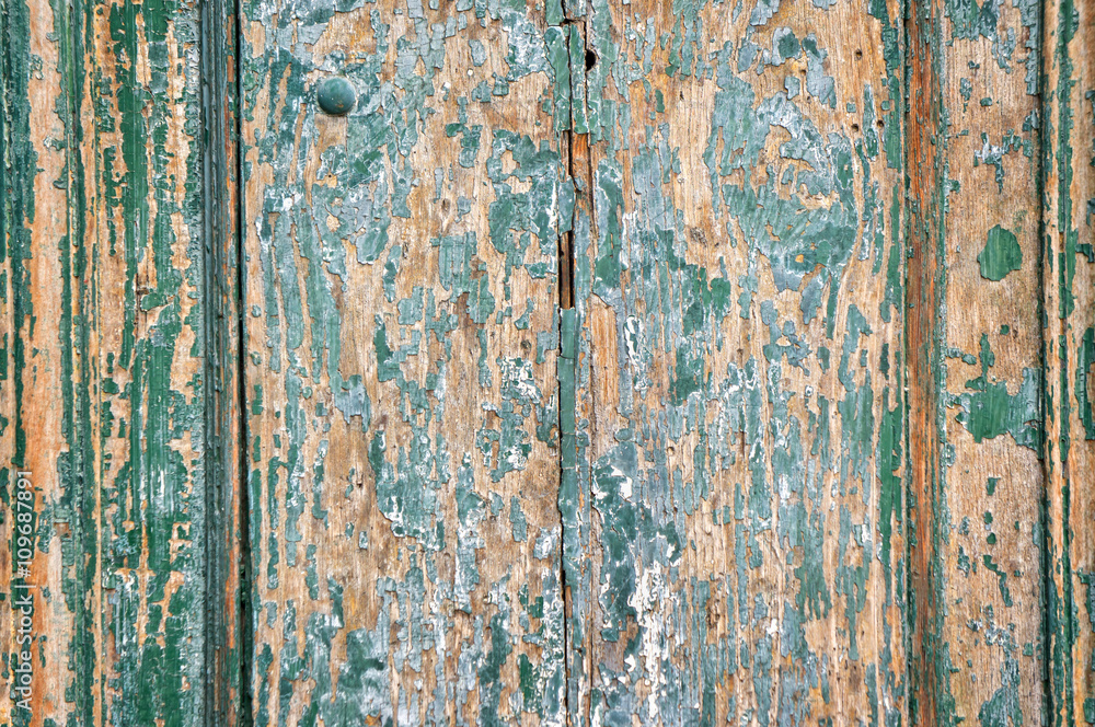 Old  wooden door painted with copy space