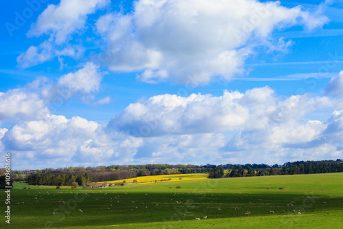 Beautiful sunny Stonehenge landscape England