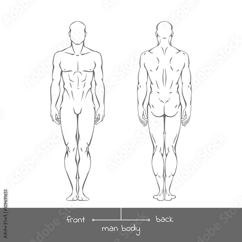 Healthy young man from front and back view in outline style. Male muscular body shapes vector linear illustration with the inscription: front and back. Vector outline illustration of a human figure