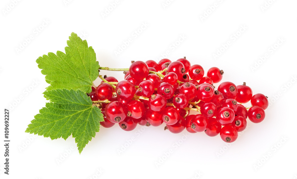 Red currant with green leaves isolated on white background Red currant with green leaves isolated on white background
