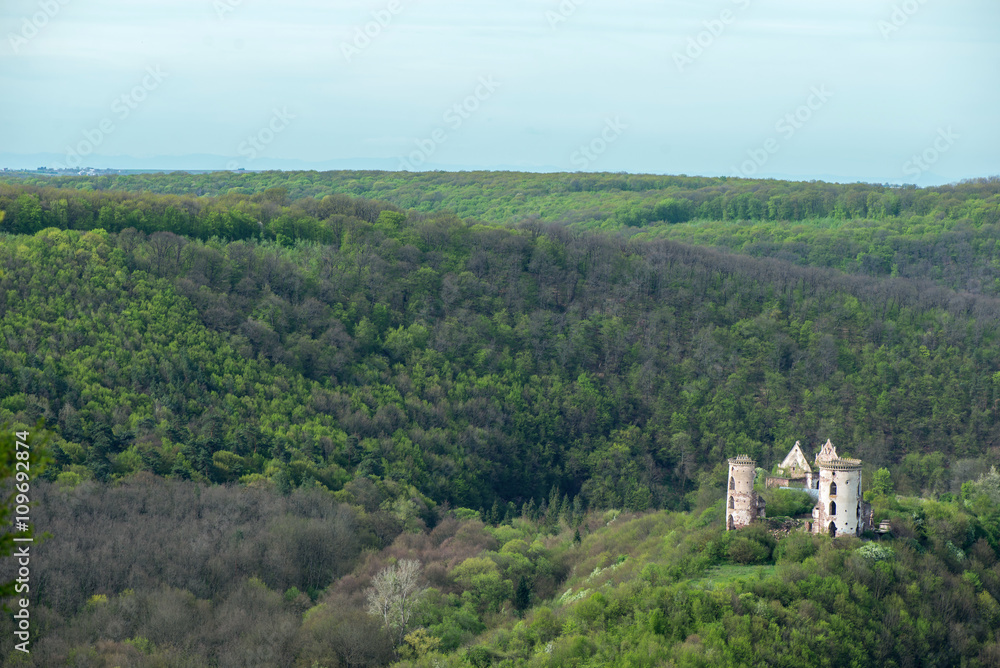 old castle on a hill in the woods