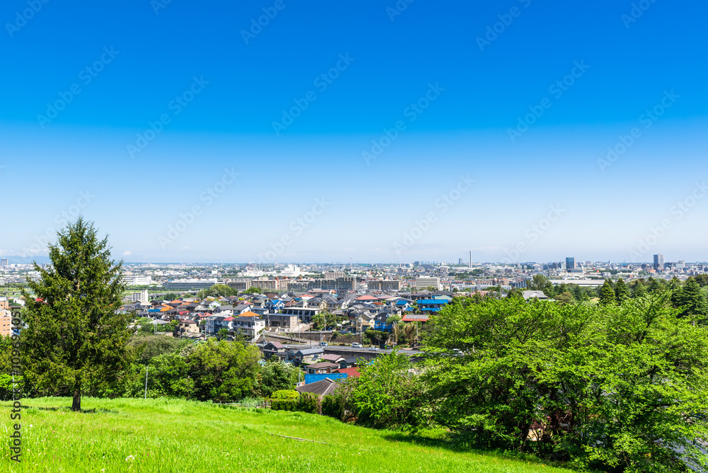 新緑の丘と住宅街