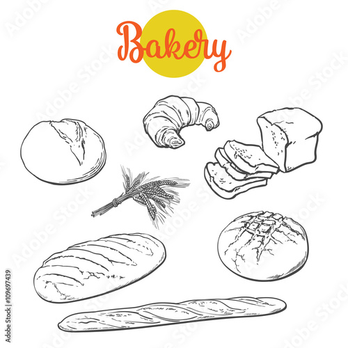 Set bread products, pastries vector on a white background, sliced loaf, French baguette, rye bread, wheat branch, cutting cakes, croissants, colored sketch style hand-drawn, bakery products, rooty