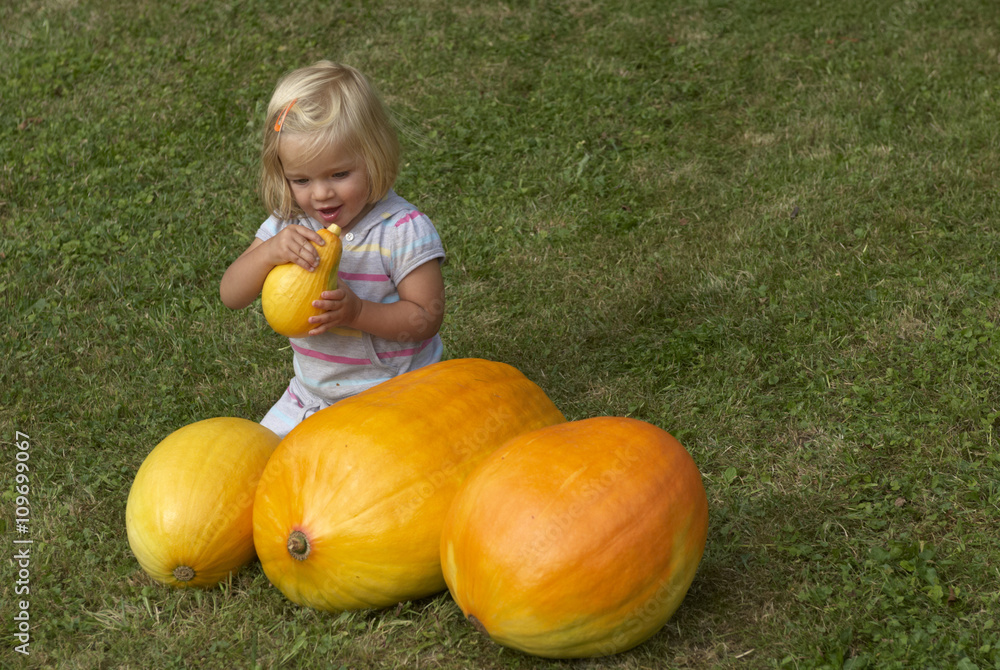 Fototapeta premium Beautiful little kid girl having fun with farming on organic pumpkin patch