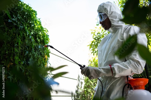 Man doing pest control