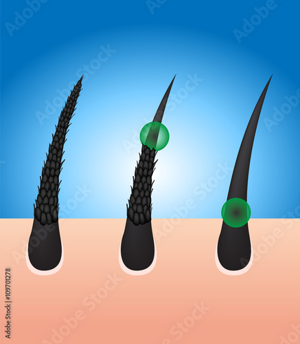 damaged hair turn to healthy hair