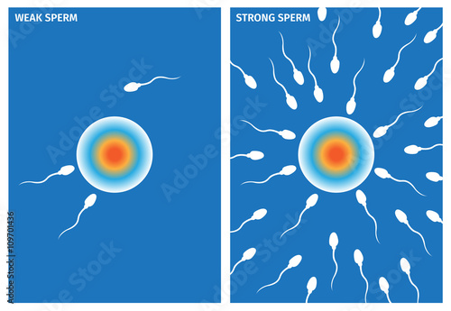weak sperm and strong sperm