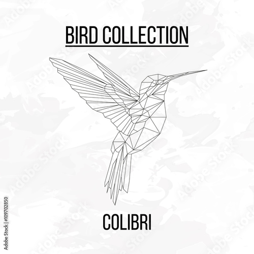Colibri bird geometric lines silhouette isolated on white background vintage design element