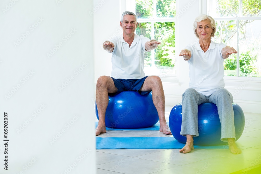 Portrait of smiling senior couple on ball Portrait of smiling senior couple on ball