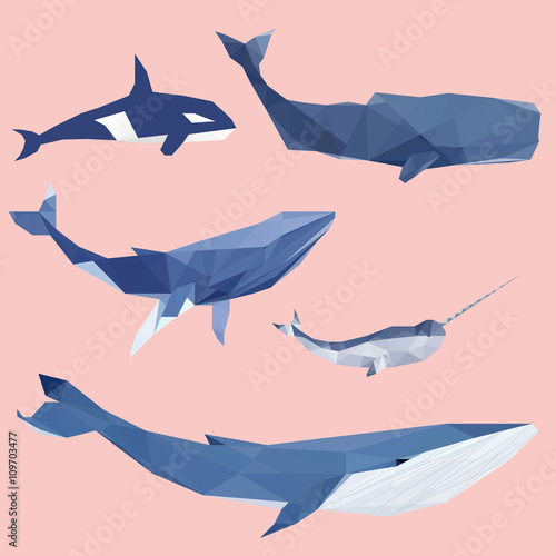 Geometric colored whale set