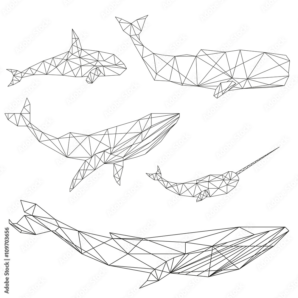 Obraz premium Zestaw geometryczny wieloryb
