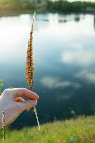 Hand holding a feather at river background