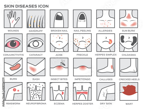 skin diseases icon