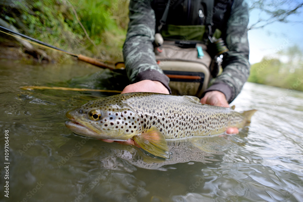 Fly-fisherman holding fario trout caught in river Fly-fisherman holding fario trout caught in river