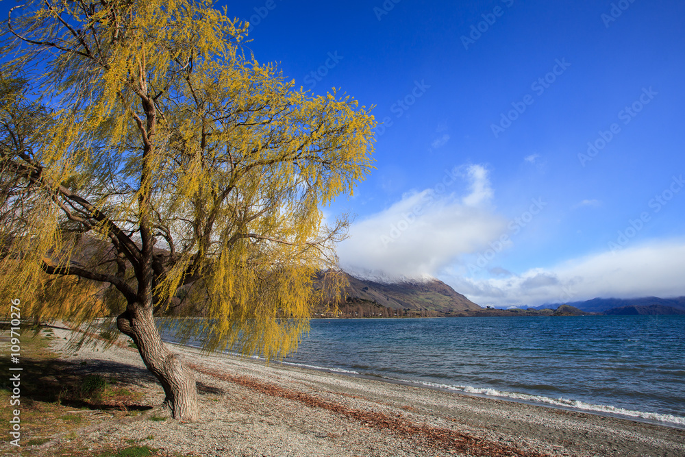 beautiful scenic of lake wanaka in south island new zealand impo beautiful scenic of lake wanaka in south island new zealand impo