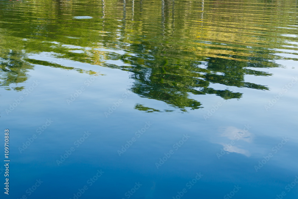 Fototapeta premium Green tree and blue sky vibrant color reflection in the water
