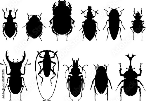 Canvastavla Set of different types of bugs and beetles isolated on white background in flat style