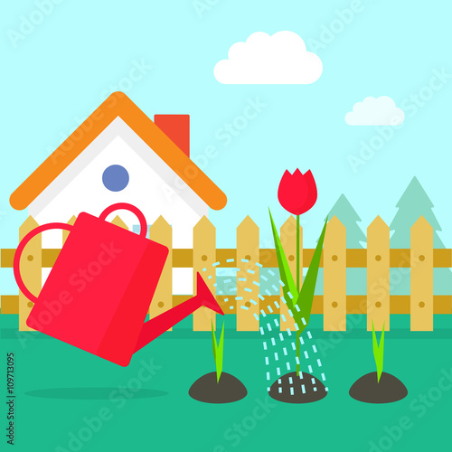 Garden Vector Illustration Cartoon Village Garden With House Red Water Can Watering Flowers Sprouts Gardening Concept Design Stock Vector Adobe Stock
