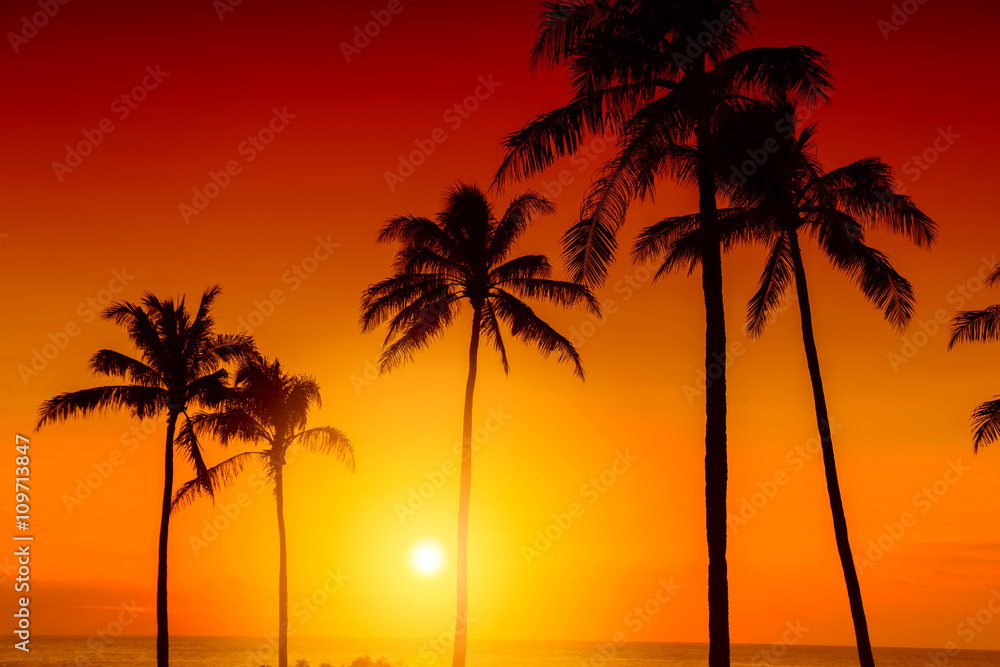Tropical island sunset with silhouette of palm trees, hot summer day vacation background, golden sky with sun setting over horizon