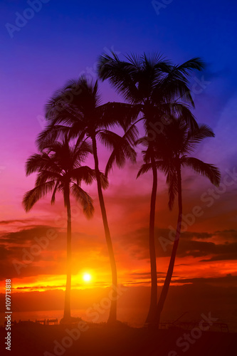 Tropical island sunset with silhouette of palm trees, hot summer day vacation background, golden sky with sun setting over horizon © Mariusz Blach