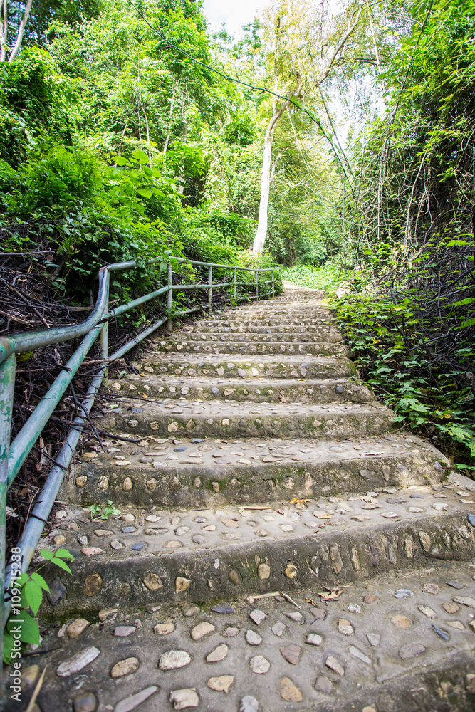 Fototapeta premium stairs leading up in forest