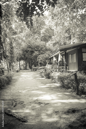 Wallpaper Mural Old wooden house in the forest Torontodigital.ca