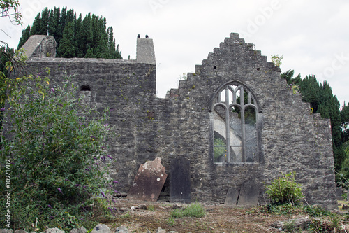 La muraglia photo