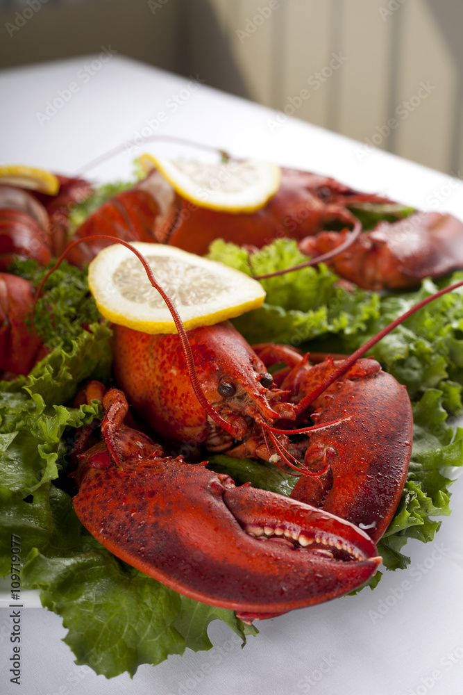 lobster with lemon slices and lettuce lobster with lemon slices and lettuce