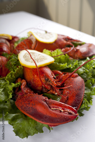 lobster with lemon slices and lettuce
