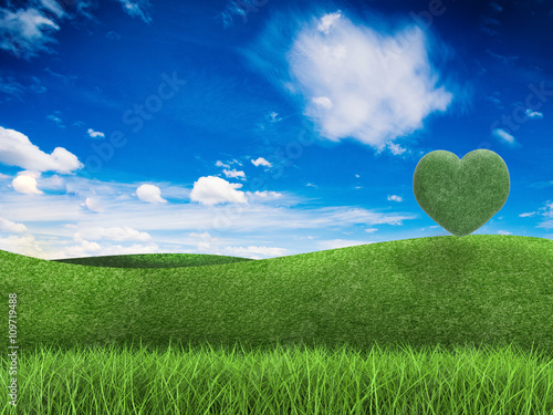 love earth concept with heart shape tree  green field and blue sky
