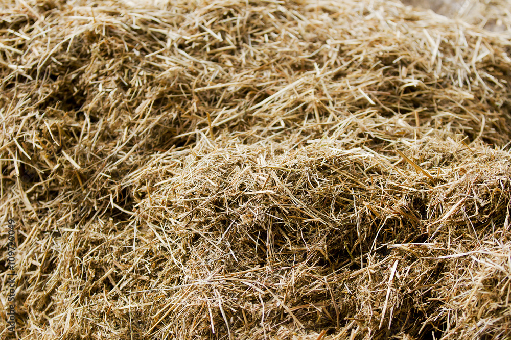 hay stack hay stack