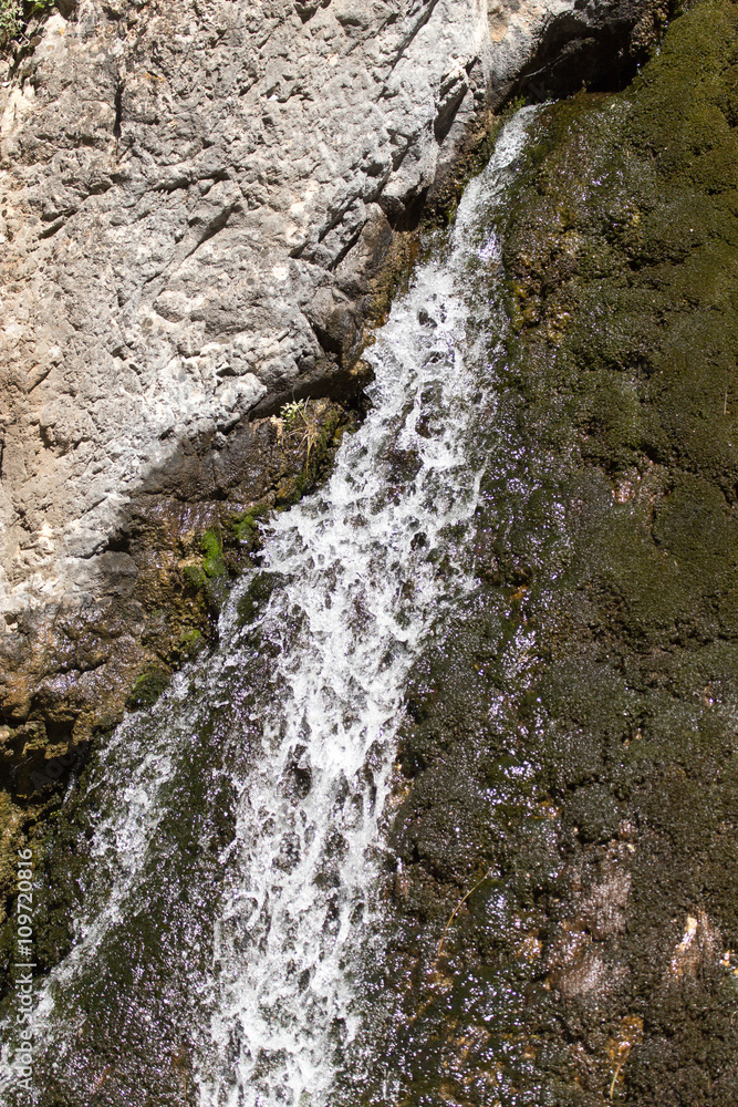 water from a spring in the mountains