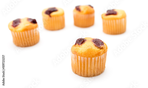 cupcake on a white background