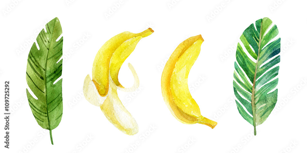 Banana leaves and fruits. Banana leaves and fruits.
