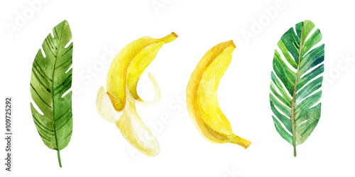 Banana leaves and fruits.