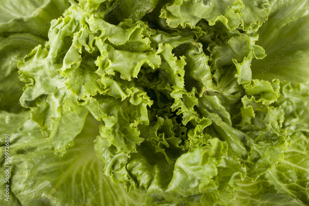 lettuce macro lettuce macro