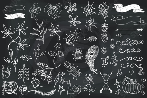 Doodle brunches,insects,decor element.Hand scetched chalcboard photo