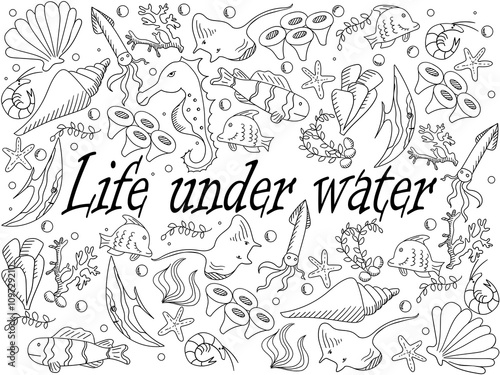 Life under water coloring book vector illustration © toricheks