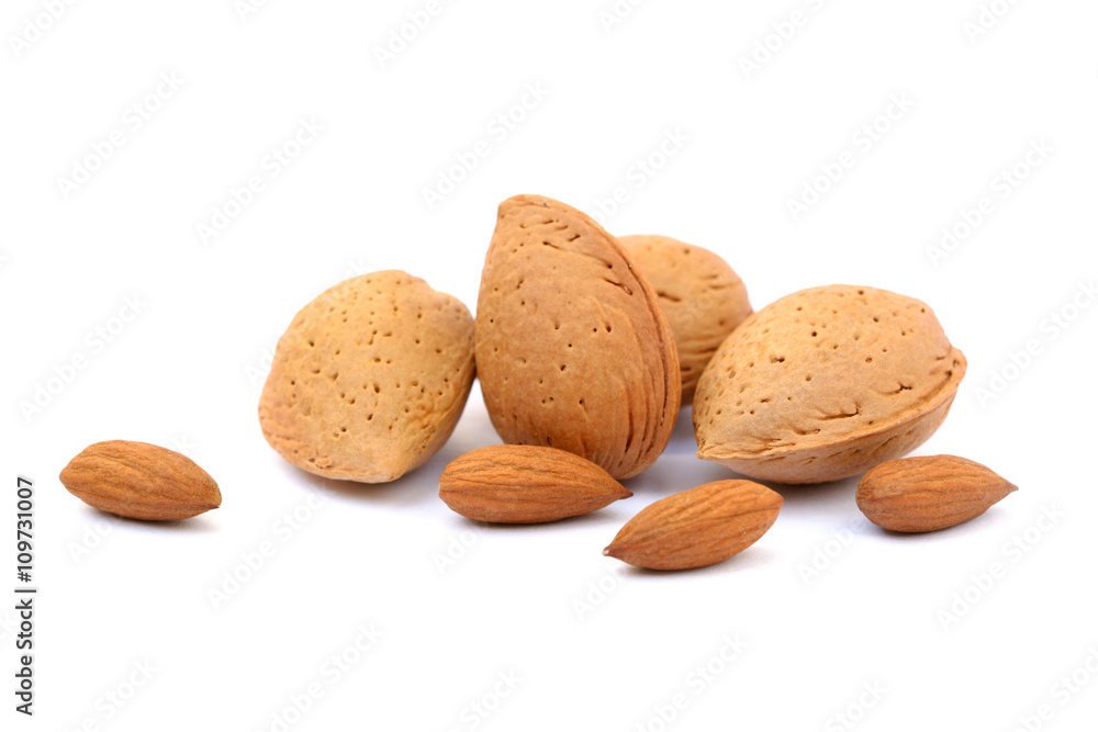 Fruits of almonds isolated on white background Fruits of almonds isolated on white background