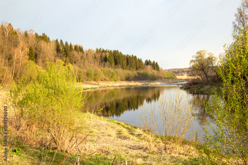 The river bank in the spring lit with the sunset sun The river bank in the spring lit with the sunset sun