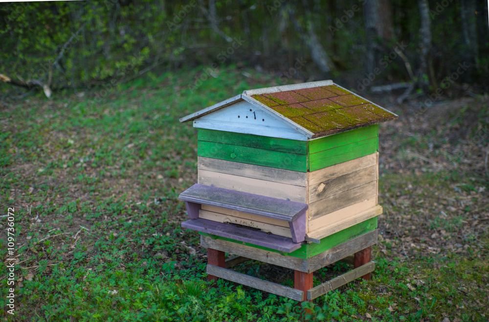 Beehives in the apiary. Beekeepers. Beehives in the apiary. Beekeepers.