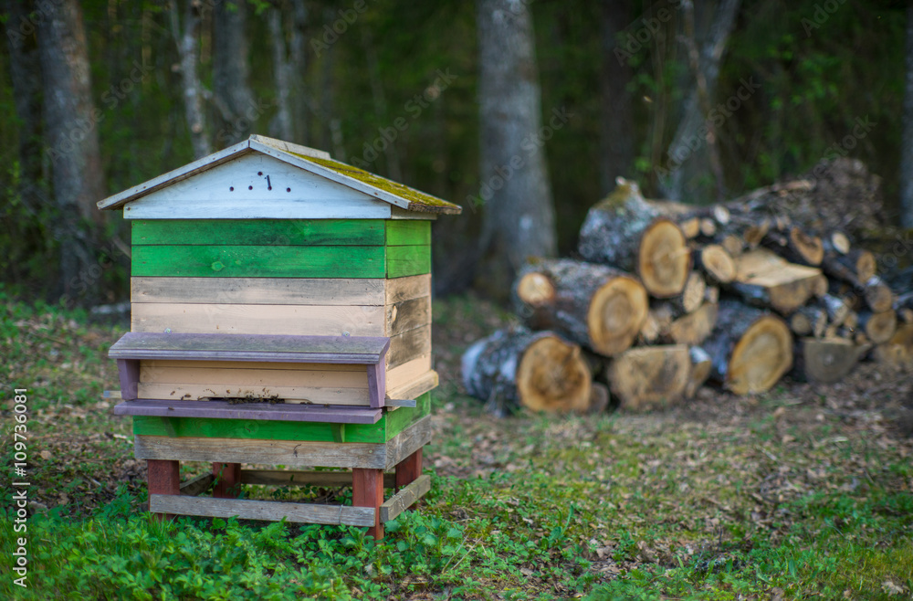 Beehives in the apiary. Beekeepers. Beehives in the apiary. Beekeepers.